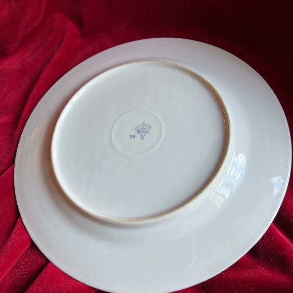 Gorgeous Vintage German Hand Painted Roses 10” Plate - Picture 5 of 7